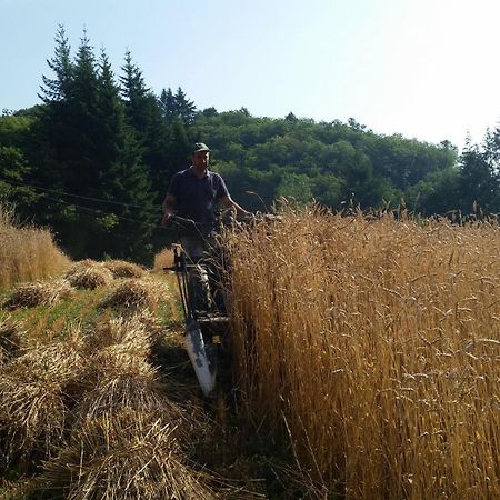 Azienda Agrituristica Risveglio Naturale فاريسى ليجور المظهر الخارجي الصورة
